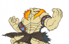 Prev Image