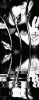 Prev Image