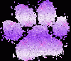 Prev Image
