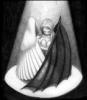 Prev Image