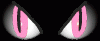 Prev Image