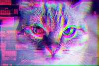 square