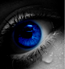 Prev Image