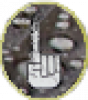 Prev Image