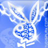 Prev Image