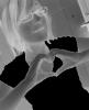 Prev Image
