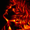 Prev Image