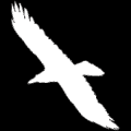 warhawkhalo101