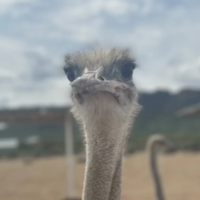 square